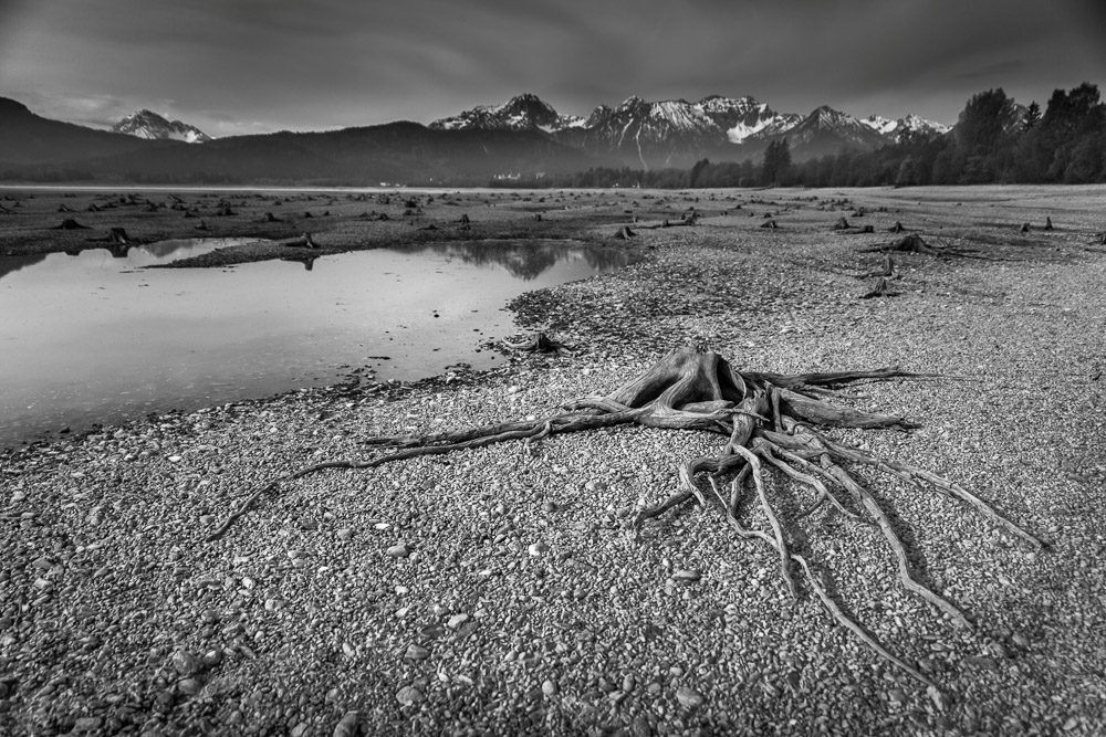 Platz 11 Josef Schafnizel